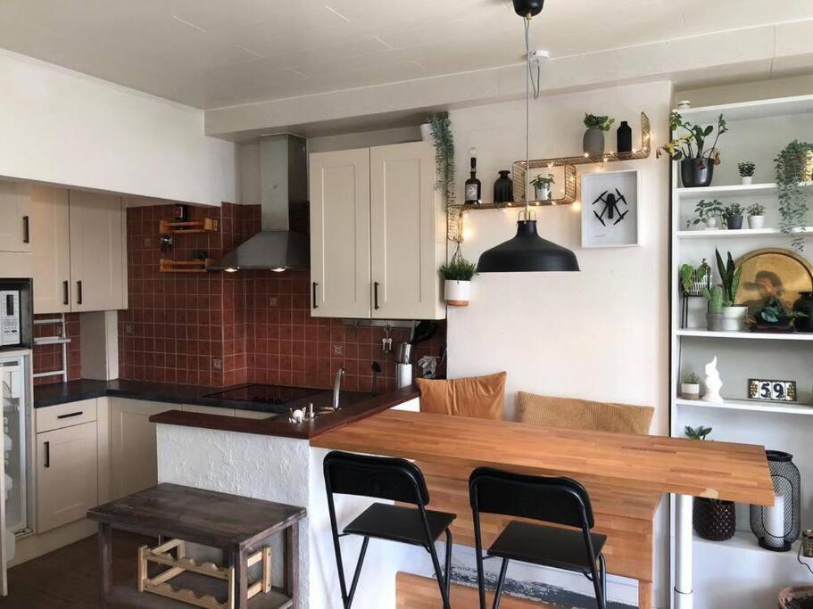 Studio Zeezucht 布兰肯贝赫 外观 照片