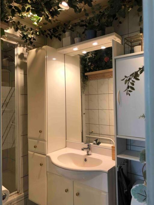 Studio Zeezucht 布兰肯贝赫 外观 照片