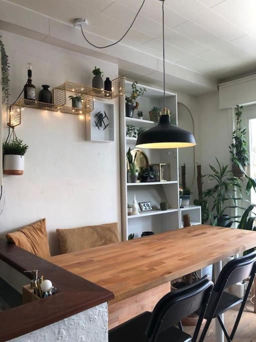 Studio Zeezucht 布兰肯贝赫 外观 照片