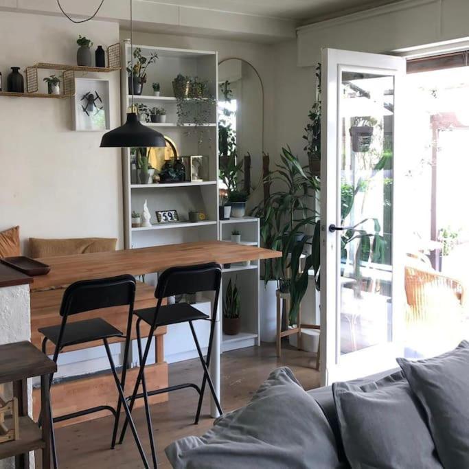 Studio Zeezucht 布兰肯贝赫 外观 照片